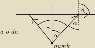 rysunek