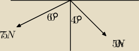rysunek