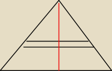 rysunek