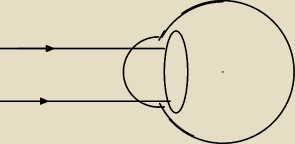 rysunek